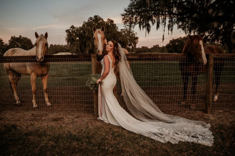 protea-weddings-and-events-ocala-florida-wedding-photographer-ocala-horse-farm-wedding-ocala-horse-inspired-wedding-travis-and-alexus-12.jpg