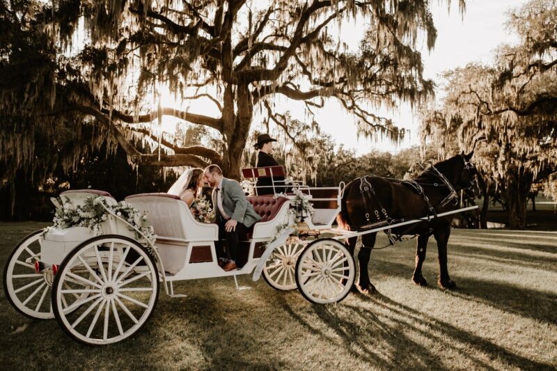 horse and carriage at horse racing wedding at Protea Weddings and Events